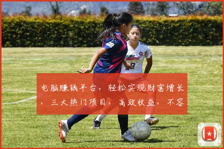 电脑赚钱平台，轻松实现财富增长，三大热门项目，高效收益，不容错过，立即加入