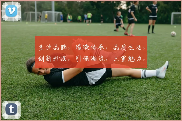 金沙品牌，璀璨传承，品质生活，创新科技，引领潮流，三重魅力，尽在金沙