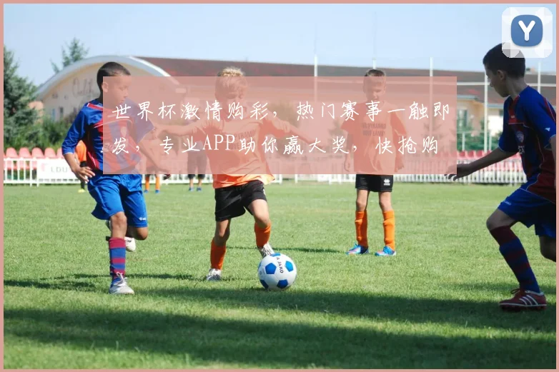 世界杯激情购彩，热门赛事一触即发，专业APP助你赢大奖，快抢购